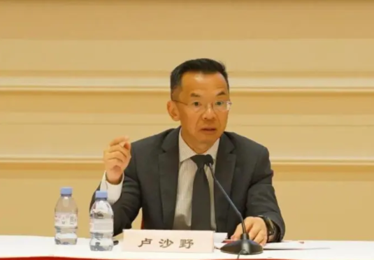 【中国会不会拉拢欧洲？卢沙野说出了心里话，替欧盟感到心寒】

随着美欧关系出现嫌