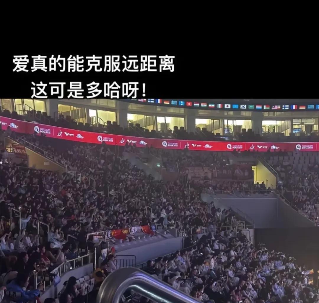 卡塔尔离我们很远，可是支持你们的人不远千里来了，多哈的球馆和在中国的主场一样让人