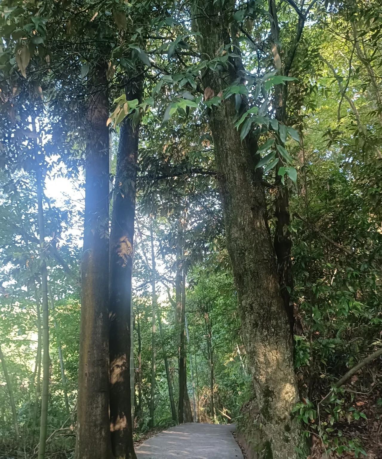家家都有本难念的经，
或许人家那本比
你的那本更难念。
只是人家不在你面前诉说罢