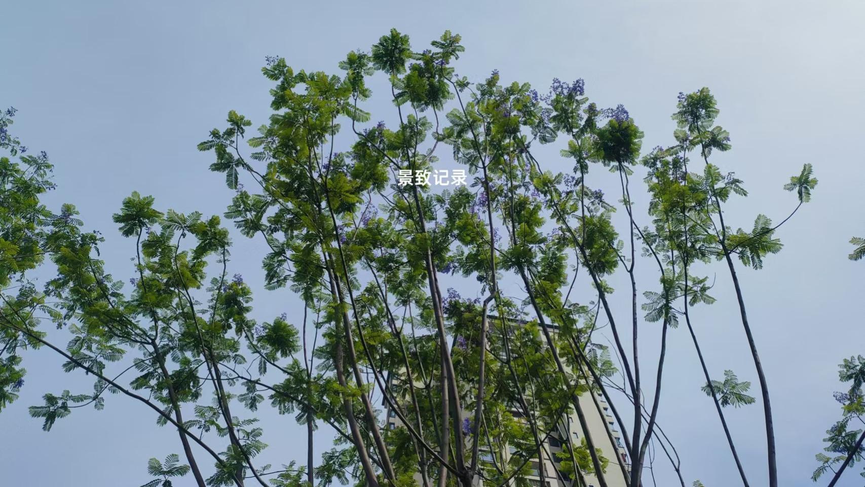 景致记录：美国费城东反省院，令人绝望，狄更斯认识各类囚徒