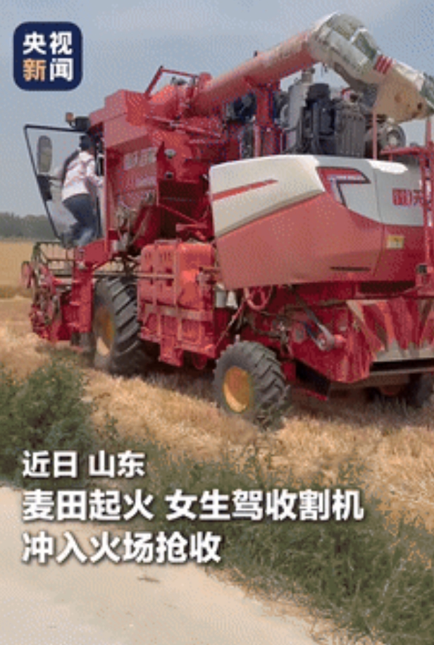 “这个美女又被央视点赞了！”山东，100多亩麦田起火，女生开收割机冲入火场抢收，