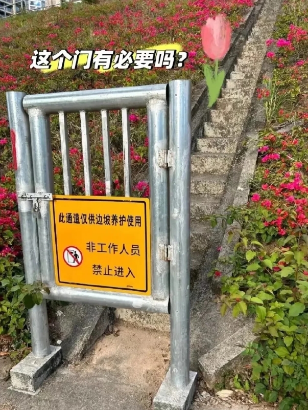 广东，一名女子在公园散步的时候，意外发现路边的花坛中间有一道楼梯，在楼梯的入口处