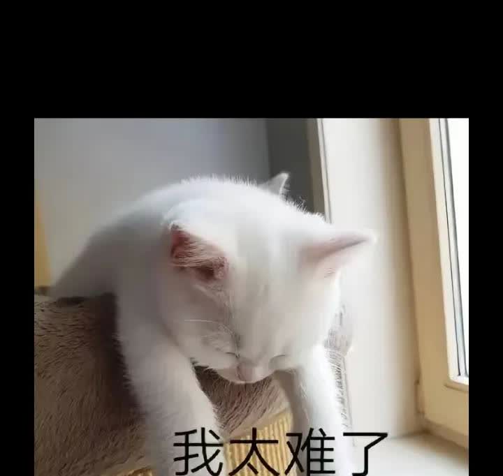今天早上6:50，教练给我打电话，怎么还没有过来？我告诉教练说今天睡过头了！其实