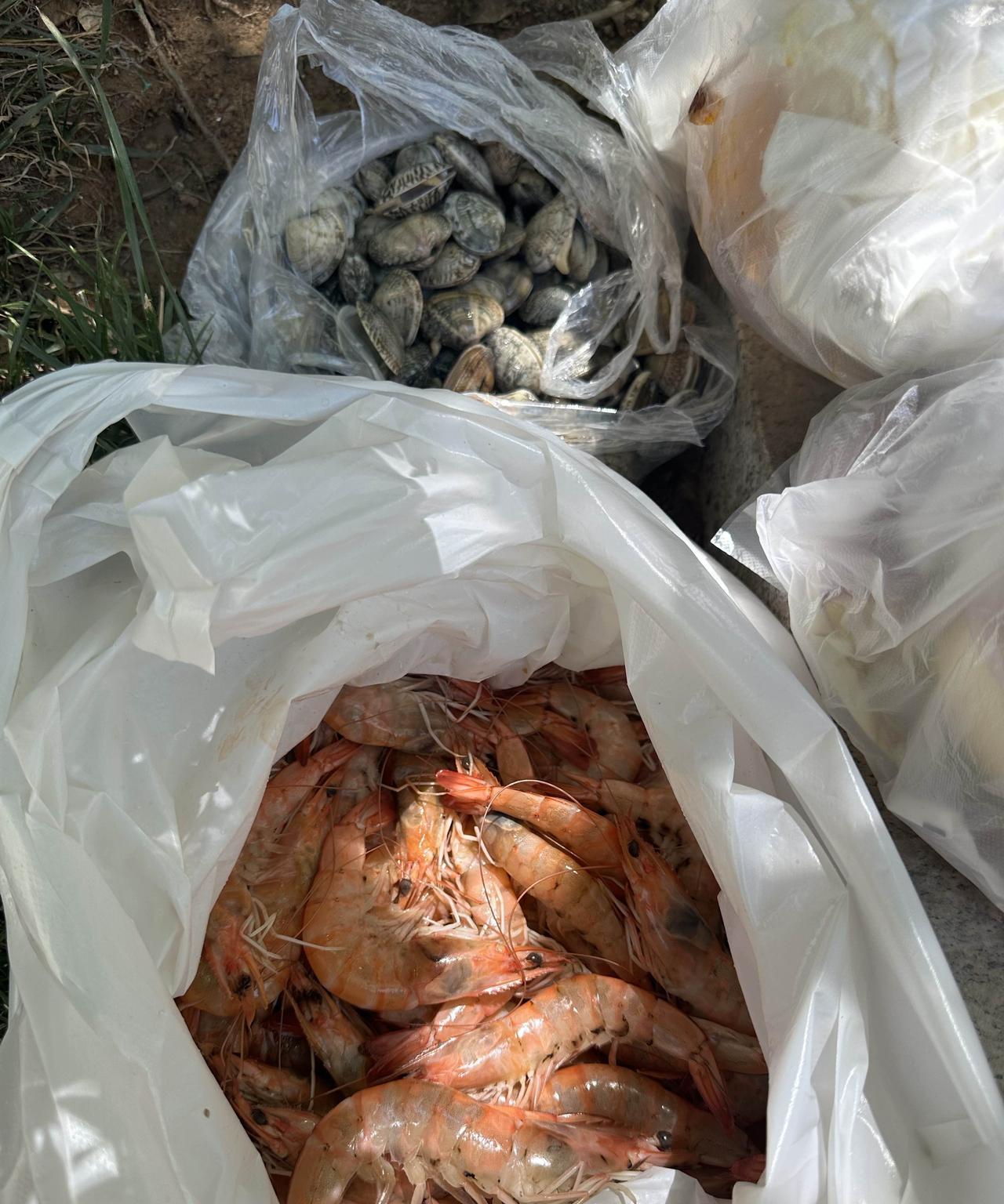刚才提溜着两大包嘎啦和大虾放在垃圾桶边上喂流浪猫。
刚放下小猫就跑过来了。
昨天