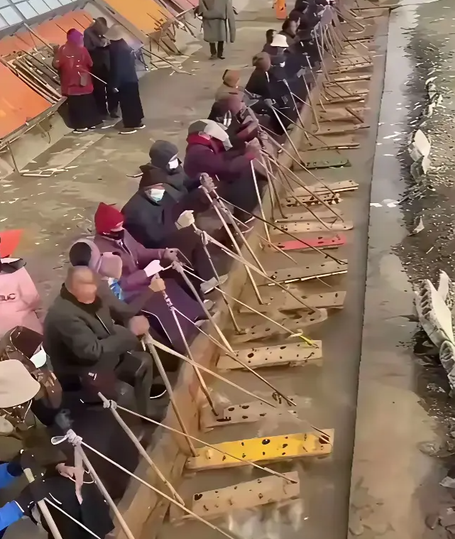 一看就是河南人 不接受反驳
