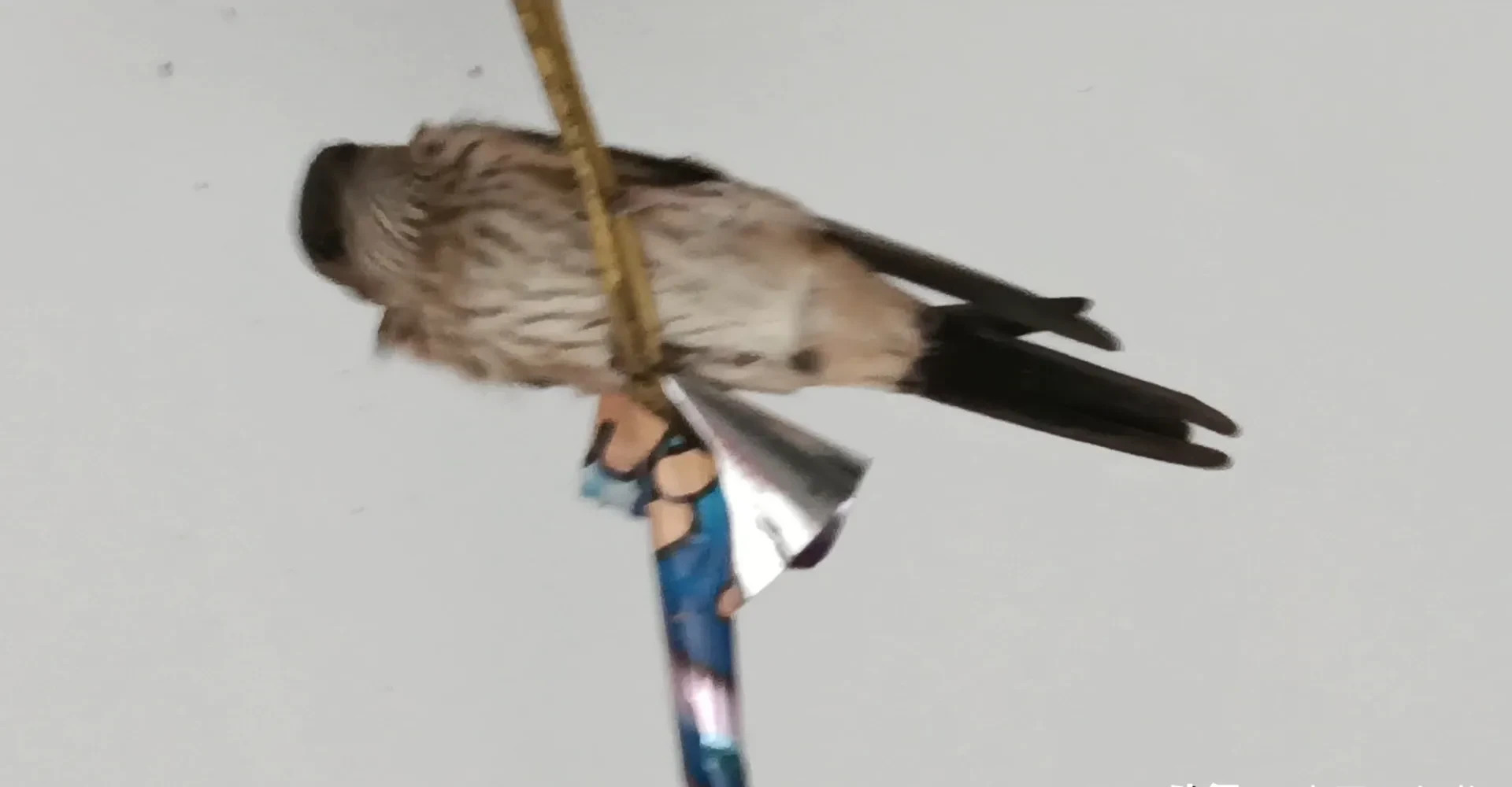 以色列又停火了，中东咋办











**文章：**







