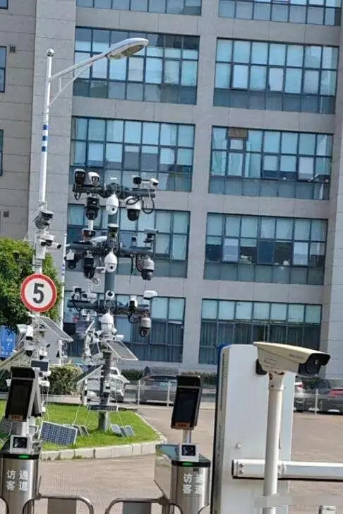 蚊子来了都得拍一套写真集