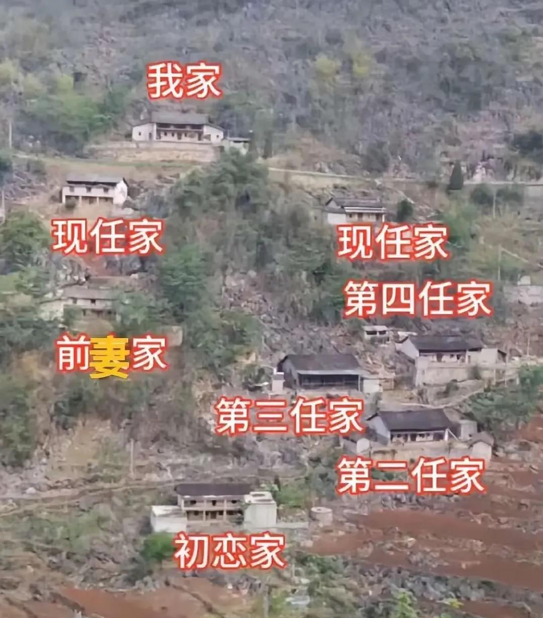 兔子不吃窝边草，窝边有草何必满山跑。