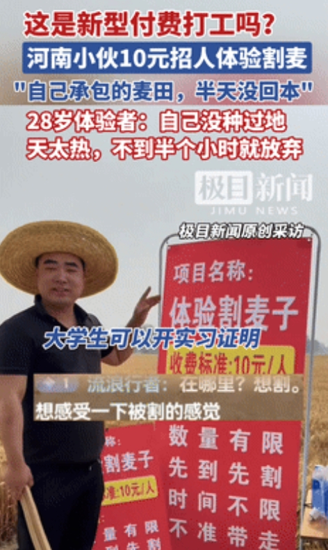 “笑死我了！”河南小伙突发奇想，搞10元/人体验割麦子活动，大学生还能开实习证明