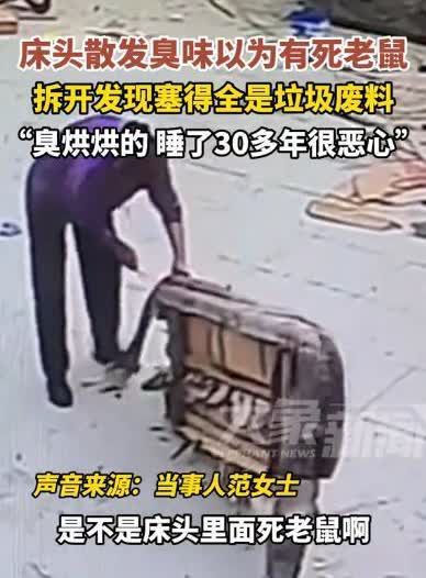 “坏了良心！”4月6日，河南驻马店，一女子正在床上躺着休息，突然闻到床头一股臭味