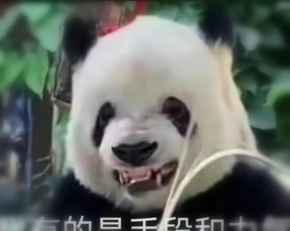 商务部发言人说我们反对一些国家以损害我们的利益为代价去跟美国进行沟通谈判，看起来