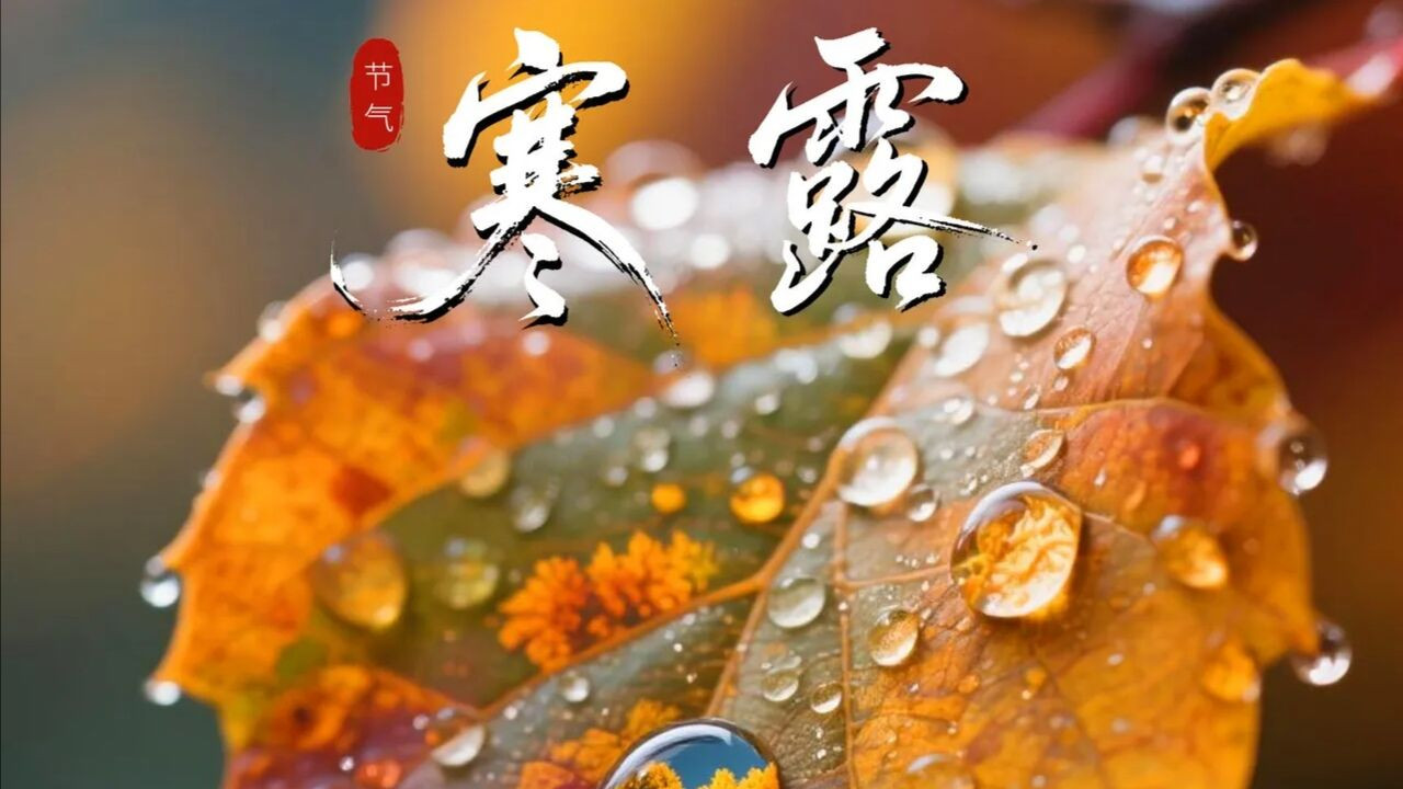 今日寒露节气，今年是早寒露还是晚寒露？早看早知道