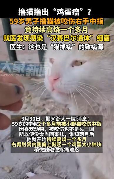 “长见识了！”2025年1月，浙江一男子在街边逗小野猫时，不慎被咬伤中指，男子一