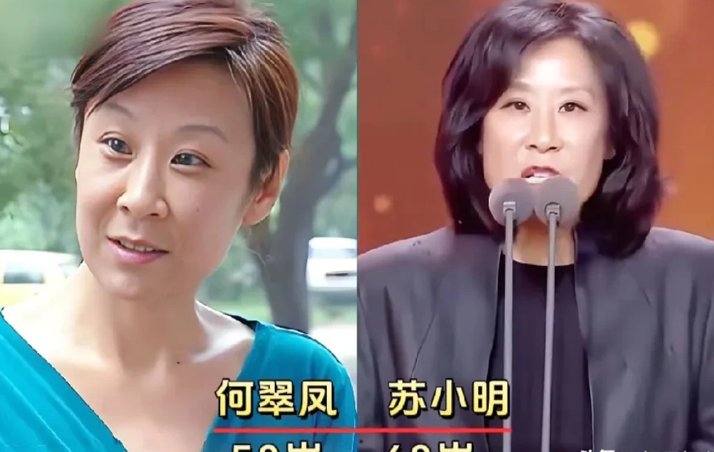 《奋斗》时隔18年后演员变化！

