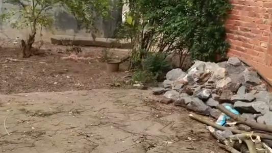 30 年土地 “失踪” 谜案：东安一家庭合法承包地遭非法收回，维权之路何时休？