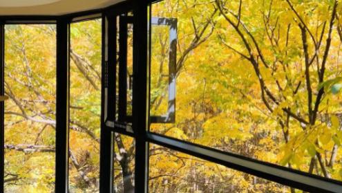 杭州秋日封阳台：把桂香与暖阳，都 “锁” 进家里