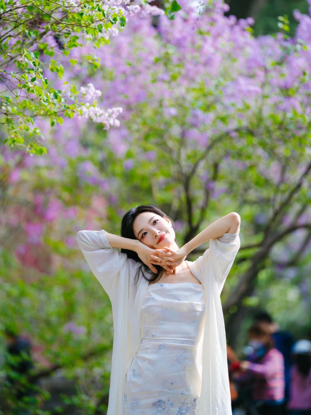 丁香花开法源寺