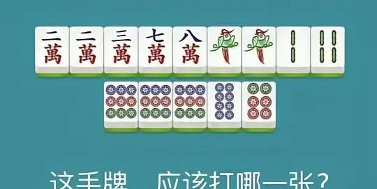 如果您是一位老手，毫不夸张地说，一眼就能看出来打哪张？各位麻友，告诉我，您会打出