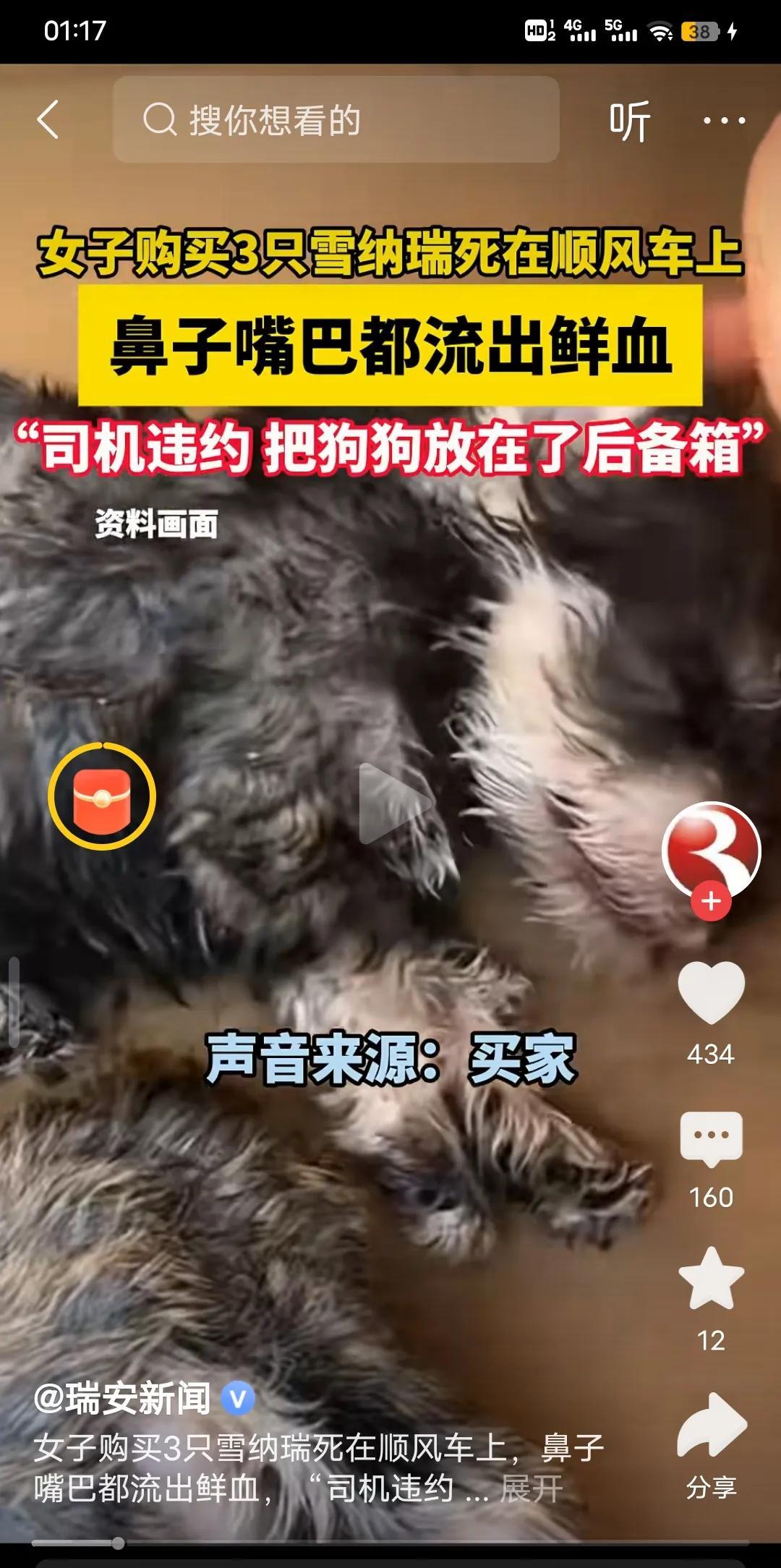 这个司机很坏，既然要拉就不放后备箱，我建议网约车司机最好不要拉狗，除了有异味还有