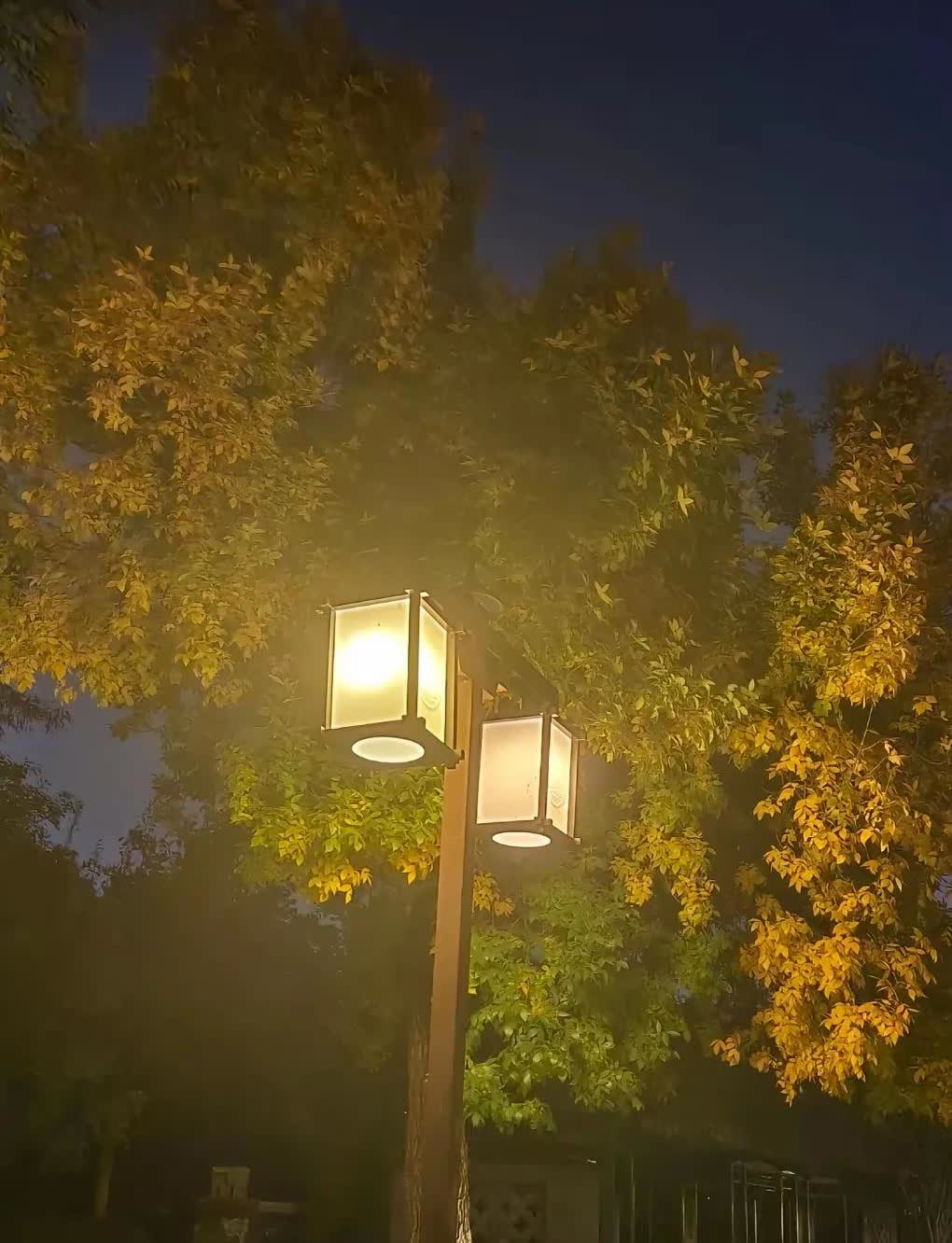 说一个绝对炸裂毁三观的真事，
应该有十几年了吧。
那是一个初秋的夜晚，天气有