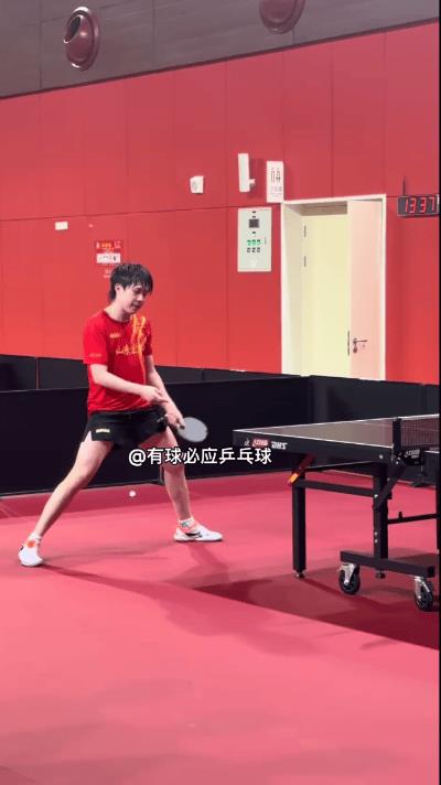 王楚钦乒超结束比赛直接来练球！
既优秀又努力的头头，上午的比赛刚结束就直接到训练