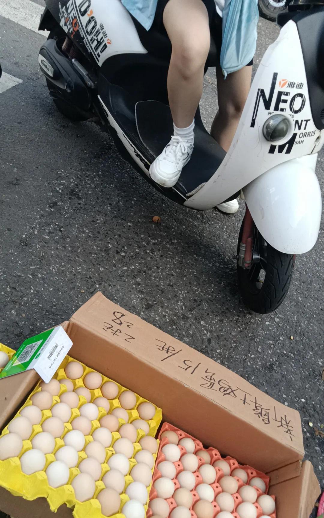 初三女儿被迫搬校区后我有多忙
整个初三搬到新校区去了，因为离家比较远，原来5分钟