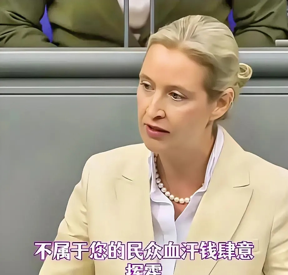 墨茨援乌购美武，德民怒了











德国民众怒火中烧！墨茨竟然背着我