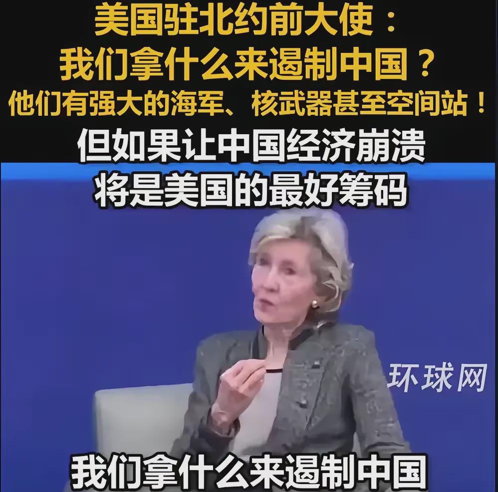 令中国经济瓦解是控制中国的最佳途径！
然而美国前驻北约大使的言论，是无奈之举，