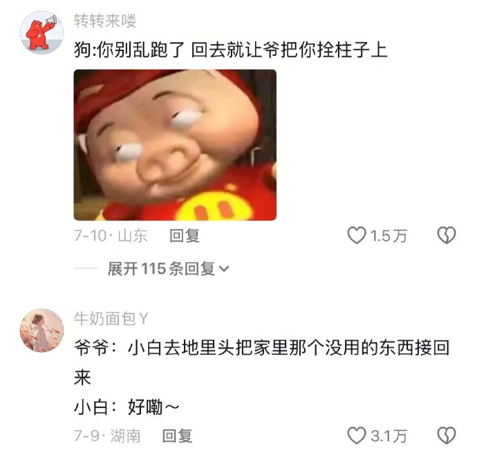 狗:你别乱跑了