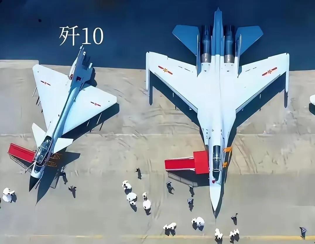 歼10：干了一辈子，临退休了评上个先进，此生足矣！
#歼10# #战斗机# #美