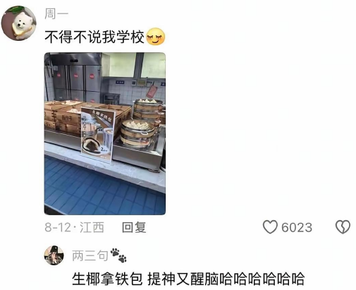 不得不说我的学校