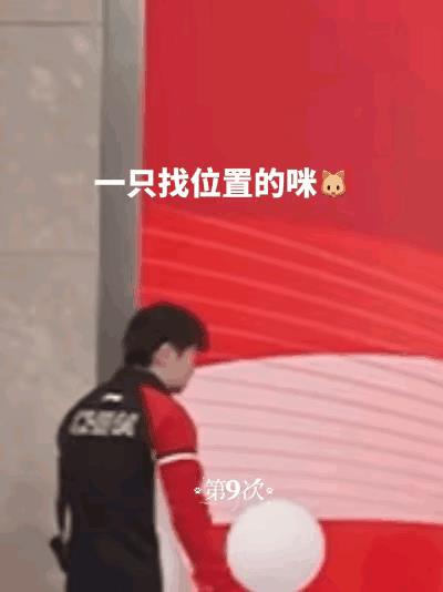 "个矮的站中间"
王楚钦这张小嘴呀，就跟淬了毒一样，平等的对待每一个人，谁都不放