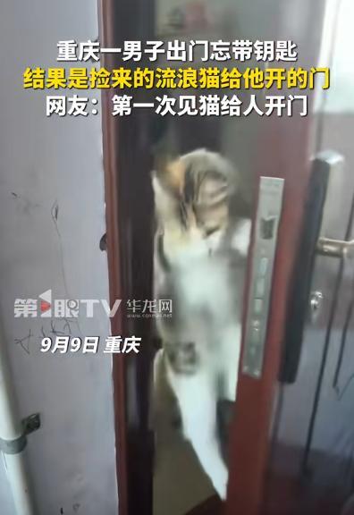 “真成精了？”重庆一男子回家忘记带钥匙，便试着叫了下屋里的猫咪，让它帮忙开下门，