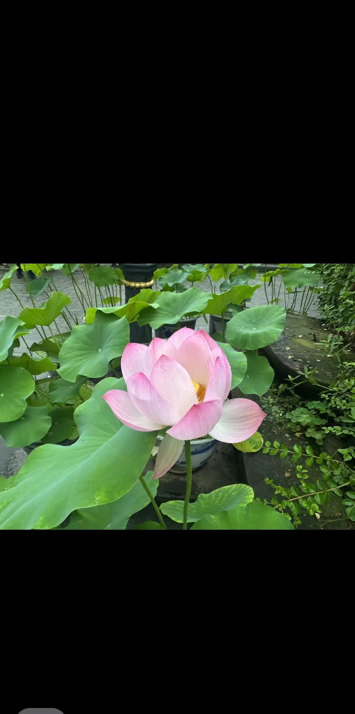 以色列又空袭伊朗，中东小霸王凭啥这么强势？伊朗也妥妥的是区域大国，人口规模是以色