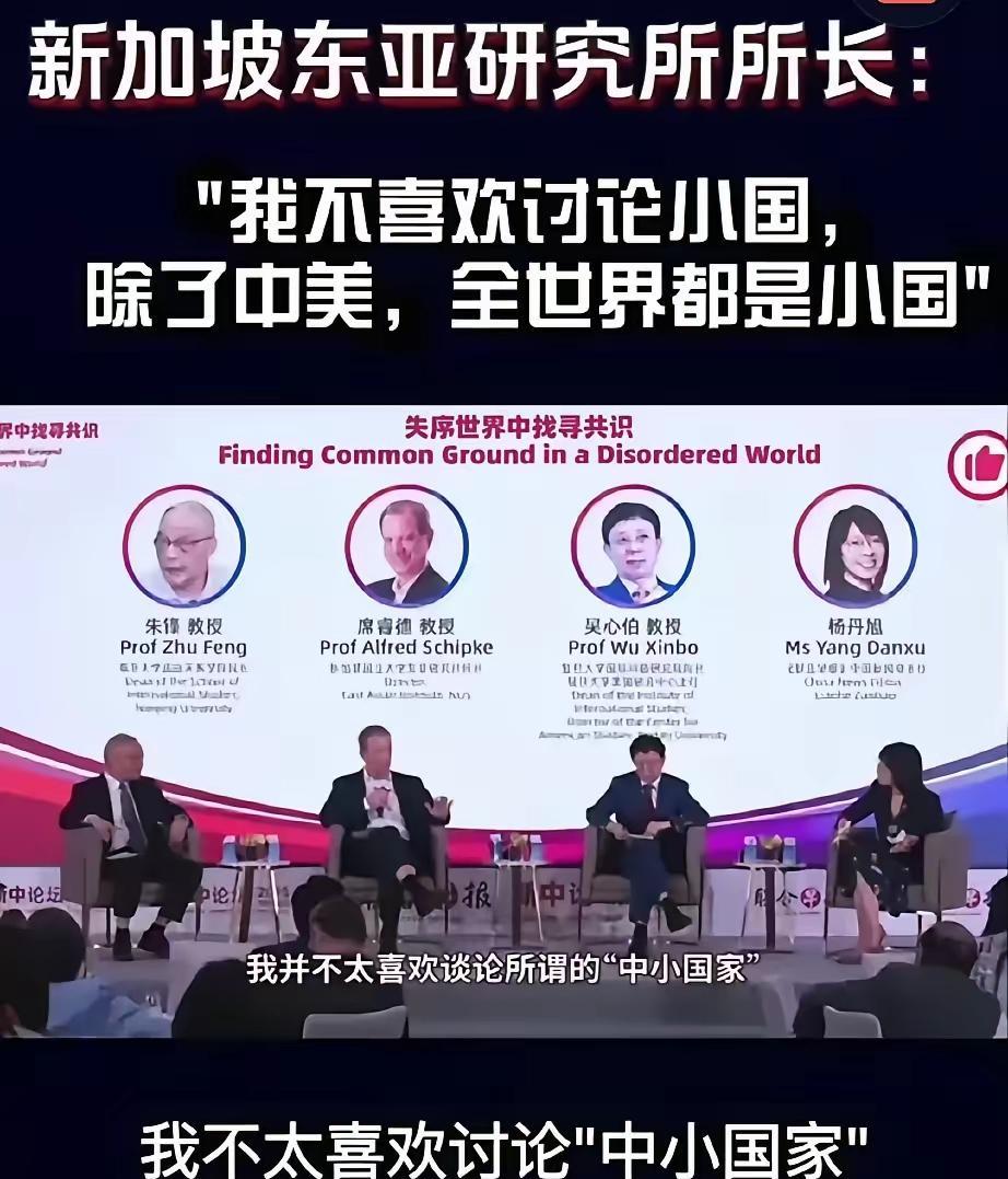 新加坡举办国际论坛，邀请嘉宾谈一谈坡县在世界上的影响力
结果，美国教授丝毫不给面