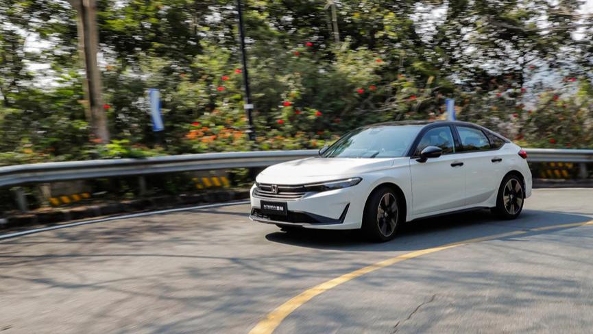 出片最强辅助，开型格一路都是C位