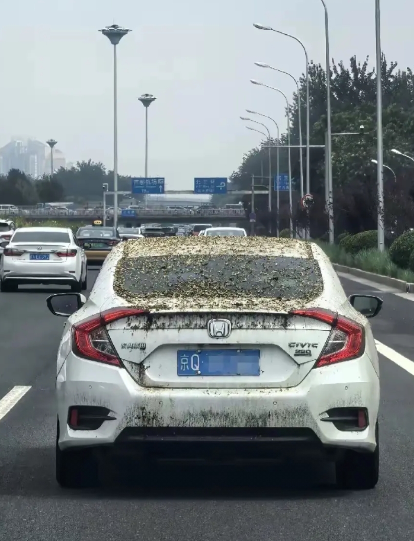 这个车洗一下50块有人接吗