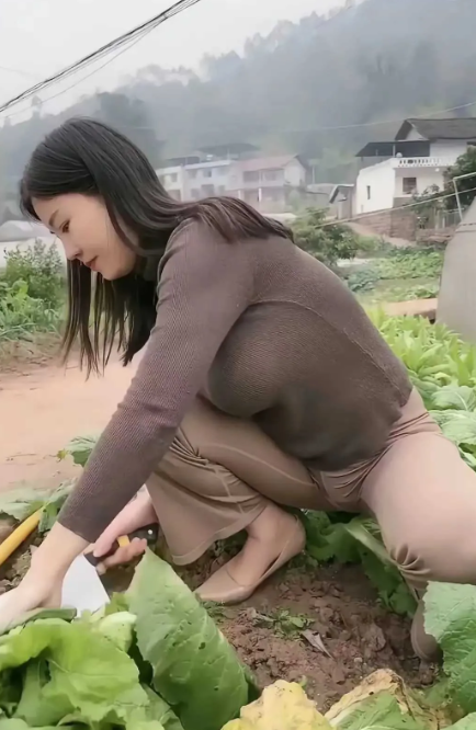 在农村生活种点菜过的很好
