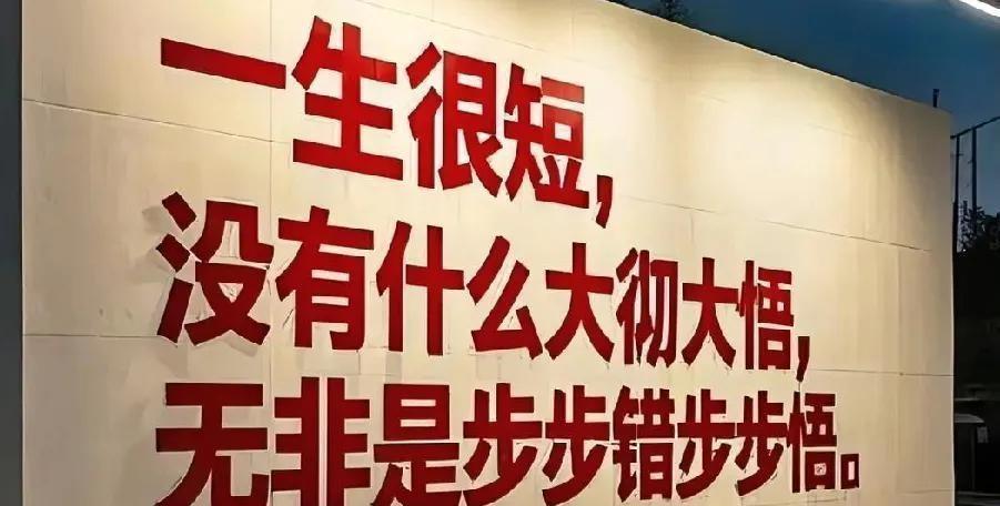 【婚姻最毒的诅咒不是穷，而是枕边人的冷眼！】
28万彩礼榨干了打工仔的血汗钱，新