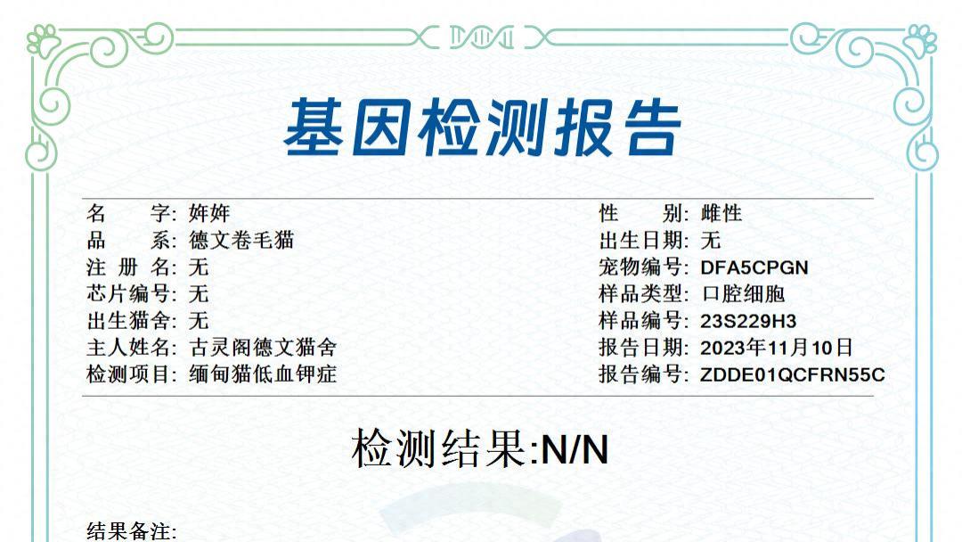 古灵阁德文猫舍繁育哲学—健康为根·性格为魂·血线为脉·责任终生