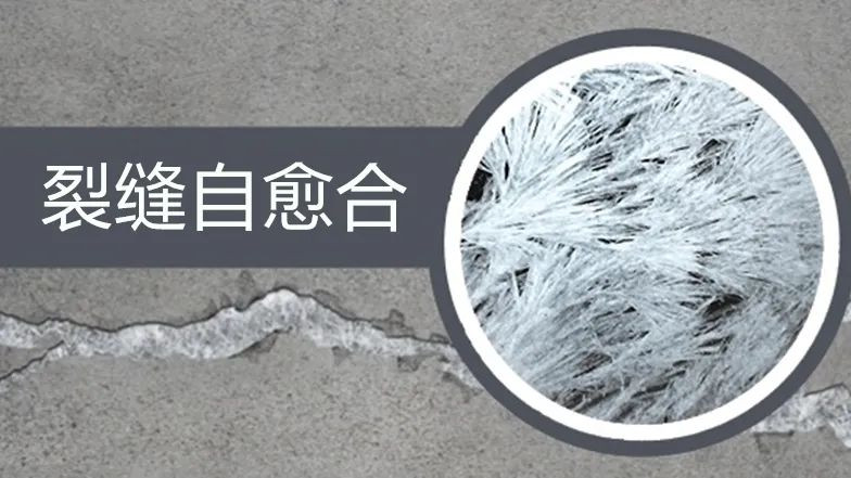 故宫都用的这项技术，最强地下防水工程！水分子都渗不进来！