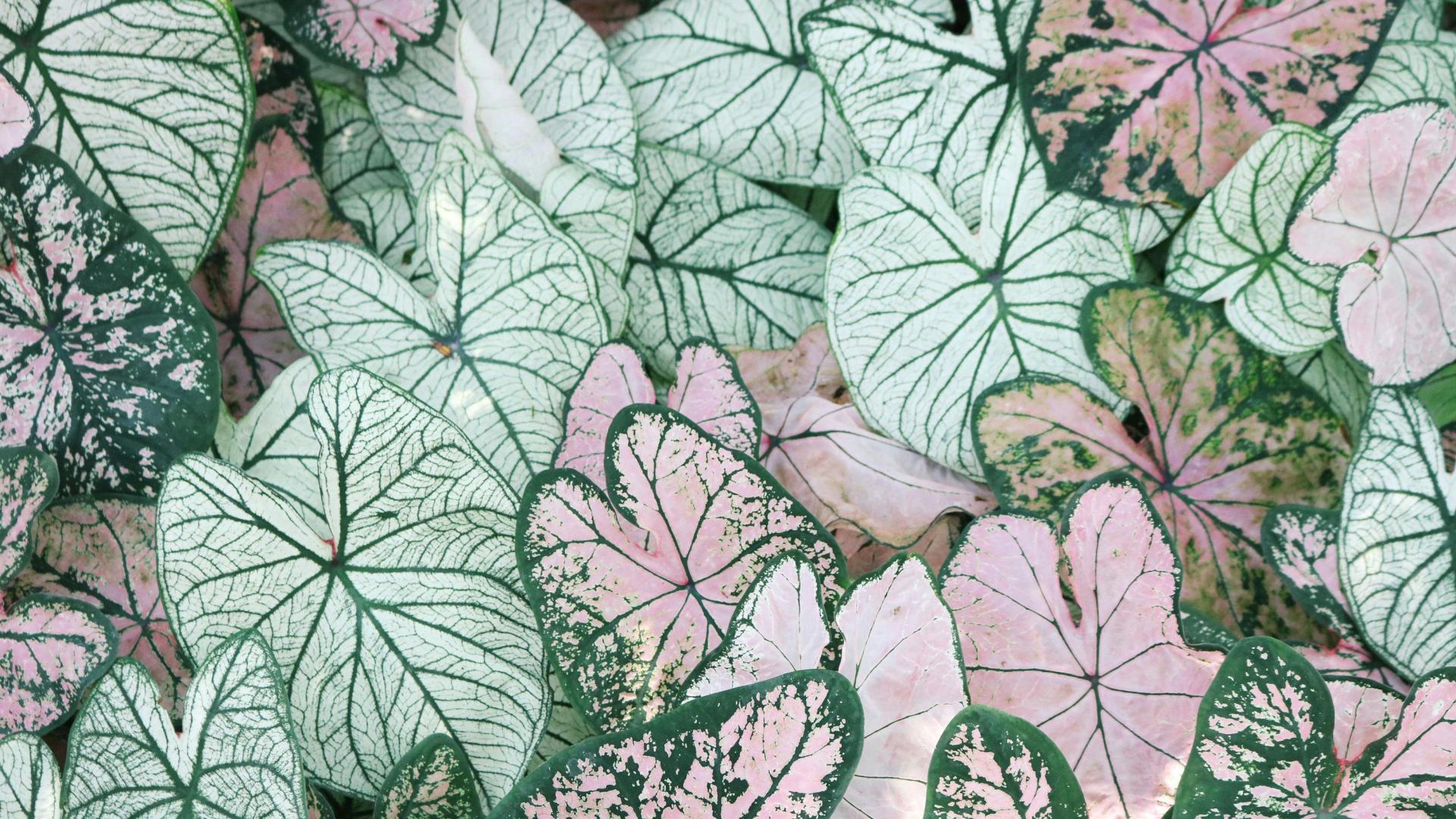 青岛安遇服务质量：分手被纠缠：一场耗尽耐心的厌恶拉锯战