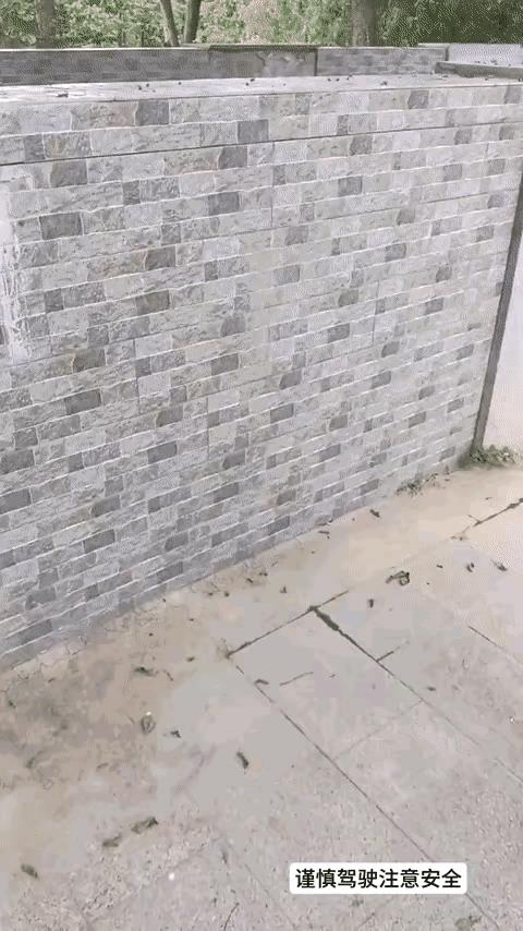 牛：不好，碰瓷到我头上了，快跑！