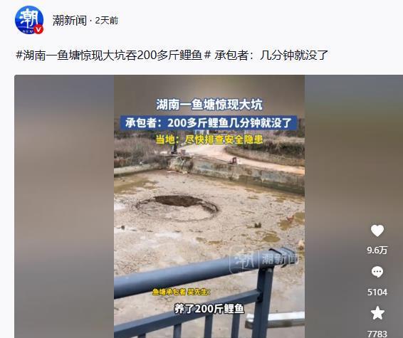 湖南新化，一鱼塘出现一条裂缝把200多斤的鲤鱼全部带走！鱼塘主人一脸懵逼，专家却