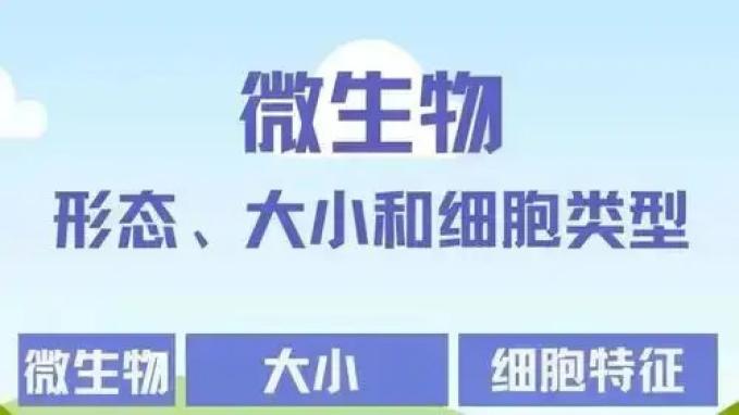 微生物最多和最脏的地方可以划等号吗？地球上哪里最多最脏？