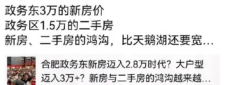 合肥就是这样一个神奇的城市。核心地段政务区二手房一万多，打着政务区头衔，蹭政务区