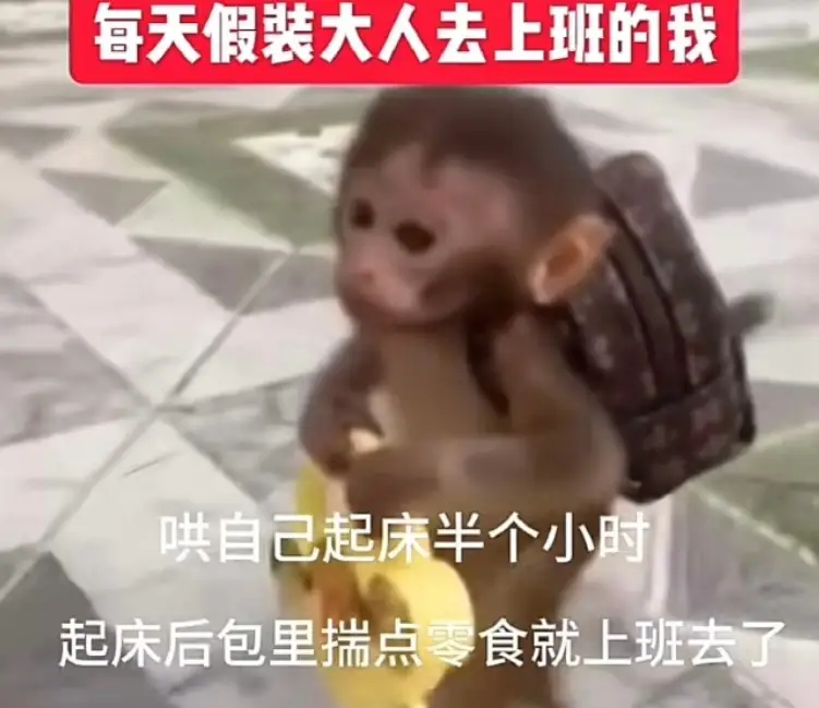 每天假装大人去上班的我