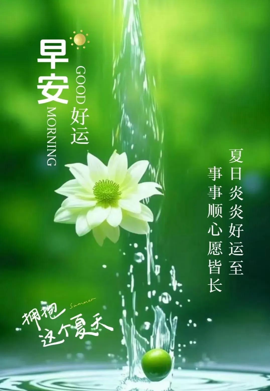早上好，今天是7月8日星期二，距女排世联赛美国阿灵顿站的比赛还有两天。
有关排球