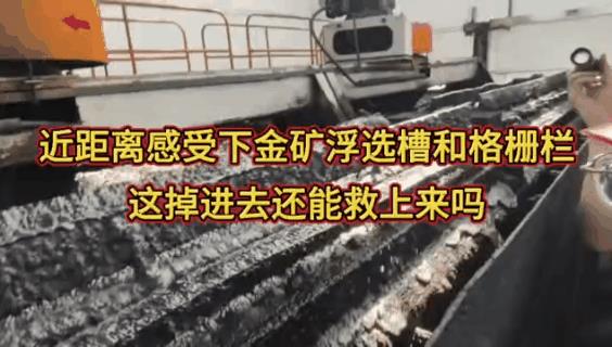 #浮选槽# 就如同一个搅拌机，想想6名东北大学生掉下去了会是怎样的状况？
从小学