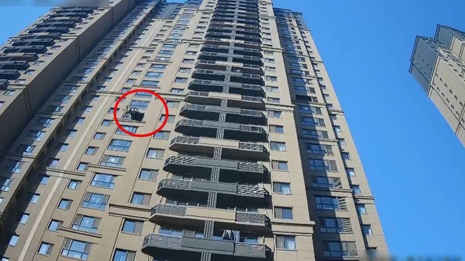 就为了两个包子？男子从6楼抛下30斤行李箱被刑拘！